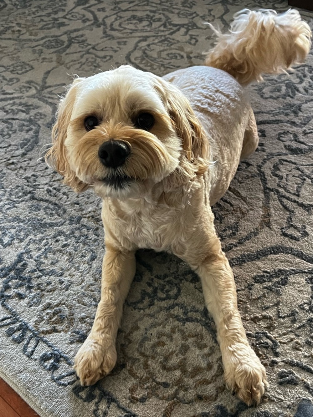 For @judysmith1717 only